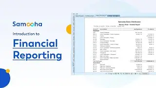 Introduction to Samooha's Financial Reporting