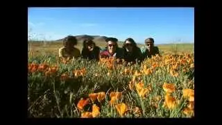 The Growlers   - Chinese Fountain