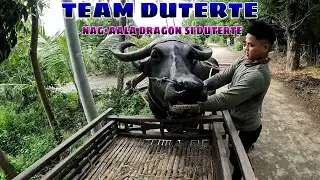 EP. 220, BUHAY BUKID team duterte, sumisinghal si duterte