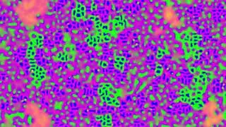 reaction diffusion experiment pr test 07 prs 296   competing regions with patterns