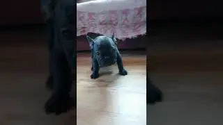 VID 20191012 153309
