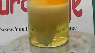 Make Silver Nitrate From Silver and Nitric Acid