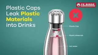 PE BIRDS Stainless Steel Flask | Plastic-Free Steel Lid | Eco-Friendly Hydration