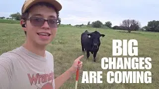 The Herd is Changing.. Who Made the Cut?