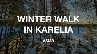 This Hidden Winter Forest Trail Will Leave You SPEECHLESS