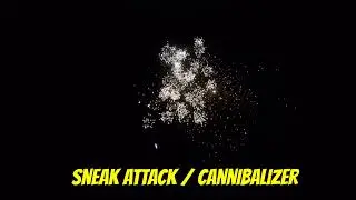 sneak attack  or cannibalizer