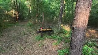 Bakba Trail Hike Lake Livingston State Park