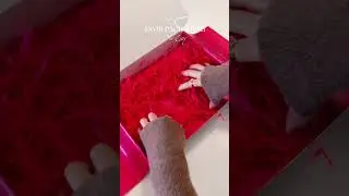 ASMR packaging for Esty🎁 Everything is packed with care & love❤️✨ #asmr #packwithme #asmrsounds