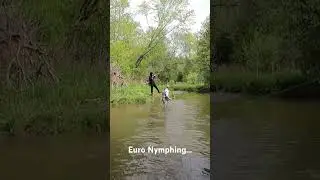 Euro Nymphing.