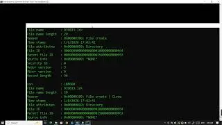 Windows Forensics using CMD commands | Reading Fsutil Journal output in Pashto