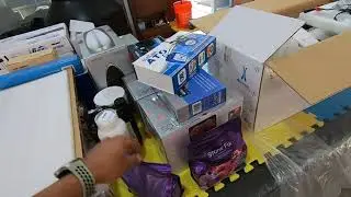 Instalamos dos acuarios de 700 litros el mismo día y el pepe team nos comió el mandado.