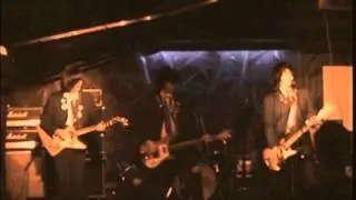 The Punkles live at Rockfabrik, Ludwigsburg (2005)