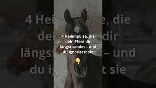 4 Heilimpulse die dein Pferd sendet - und du ignorierest sie