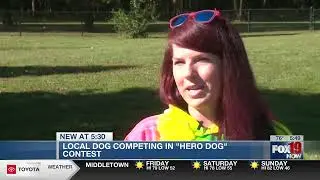 Tri-State canine up for 'Hero Dog' honor