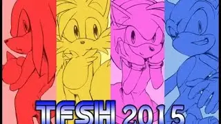 TFSH 2015 [Top Five Sonic Hack 2015]