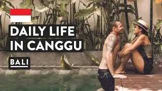 SNAKES IN BALI + DAY IN THE LIFE CANGGU | Indonesia Travel Vlog | Digital Nomad