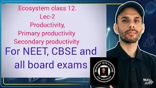Productivity | Primary & Secondary Productivity | Class 12 Biology | NEET | CBSE