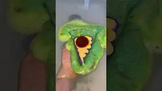 @LUSH 🌟Peace, Love and Pizza bath bomb🌟 Slice anyone? 🍕 IG mags.lush