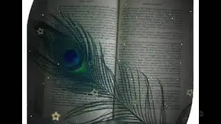 Book lover status, ek Tu hi yaar mera status || whatsapp status ||