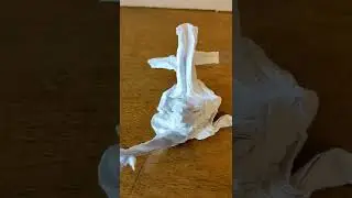 Origami RISE showcase