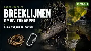 ZO VIS JE MET BREEKLIJNEN OP KARPER! | RIVIER