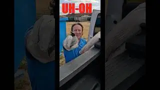 Extermination gone WRONG! - WASP SPRAY in MOUTH! 🐝 🤮