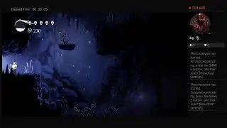 Hollow knight