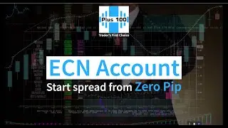 No Deposit and ECN Account Start | Trading with Plus100 Fx | Forex Broker