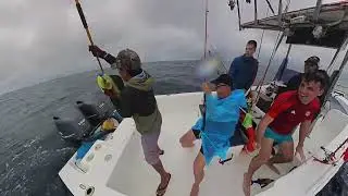 Pêche Drake Costa Rica - Décembre 2024