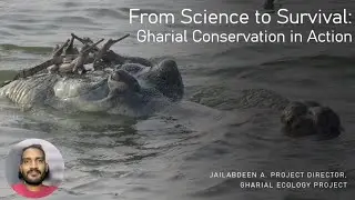From Science to Survival: Gharial Conservation in Action