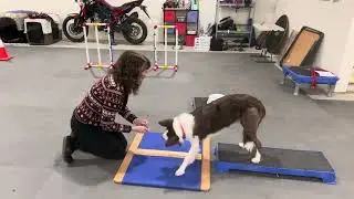 Week 6 exercise 3 second set 