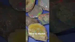 #ethiopianopal #weloopal