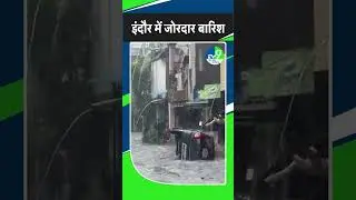 इंदौर में जोरदार बारिश | Indore | Madhya Pradesh heavy rainfall | MP weather update