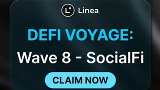 Linea Voyage: Wave 8 | Bonus: Answers To Wave 9 Quiz #lineavoyage #lineavoyagewave8