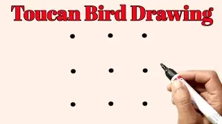 Toucan Bird Drawing Easy Step By Step | Toucan Bird Drawing Step By Step For Beginners