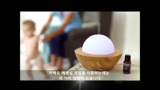 Zija Ameo Essential Oil (한국어 자막)