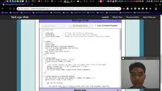 NetLogo Model Review - Virus on The Network