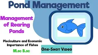 Management of REARING PONDS🏝️🐳|Types of Pond|Pond Management|M.sc B.sc|Pisciculture|Aquaculture|