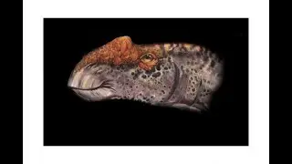 Aralosaurus