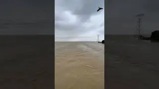 Indus river flood #indusriver #pakistan #flood