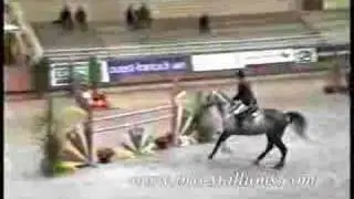 Horses- Bring Me To Life