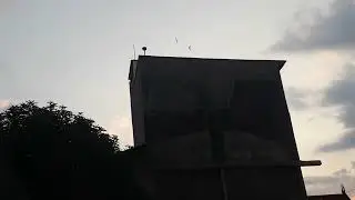 GEDUNG RBW PRODUKTIF TAPI SEDIKIT BURUNG WALETNYA.