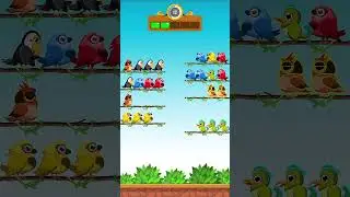 Bird Color Sort Puzzle Game | Vibrant Puzzle Adventure
