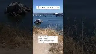 Best Places Around Monterey to Have a Picnic