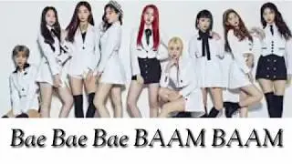Baam-Momoland (Lyrics Video)