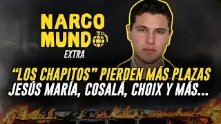 NARCOMUNDO EP. 24 
