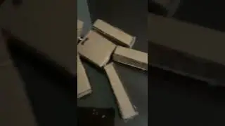 Bobby The Ragdoll #physics #ragdolls #falldamage #diy #cardboard #funny