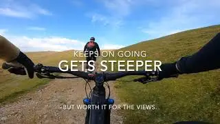 EMTB walna Scar Loop on the specailzied Levo comp alloy.