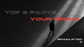 Your Brain Can Store 2.5 Petabytes? Unbelievable Truths!