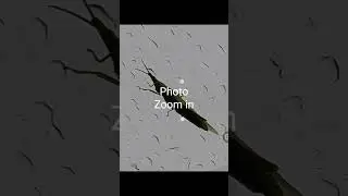 Pixel 9 pro xl camera test / google search #googlepixel #pixel9proxl #camera #zoom